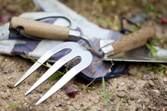 花园工具不锈钢钢泥刀而且耙而且一对手套