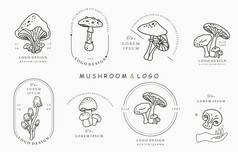 蘑菇集合标志与Shimeji香菇向量插图为图标标志贴纸可打印的和纹身