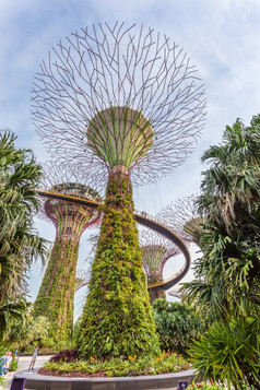 超级树花园的湾关闭空中视图的植物花园大多数受欢迎的为旅游新加坡