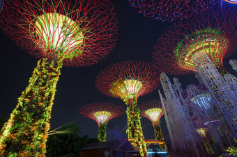 新加坡11月超级树花园的湾的树状结构是安装与<strong>环境</strong>技术那模仿的生态函数树光和<strong>声</strong>音显示