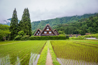 传统的和历史日本村白川乡岐阜县日本gokayama有被内接的联合国教科文组织世界遗产列表由于它的传统的gassho-zukuri房子