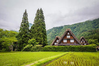 传统的和历史日本村白川乡岐阜县日本gokayama有被内接的联合国教科文组织世界遗产列表由于它的传统的gassho-zukuri房子