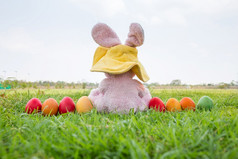 色彩斑斓的复活节鸡蛋和兔子穿他绿色草