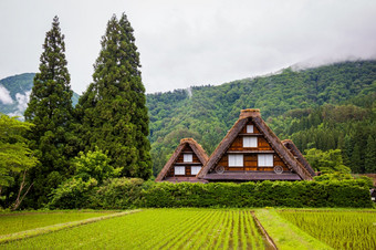 景观传统的和历史日本村白川乡岐阜县日本gokayama有被内接的联合国教科文组织世界遗产列表由于它的传统的gassho-zukuri房子