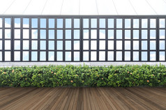 热带绿色叶墙和窗口框架与剪裁路径