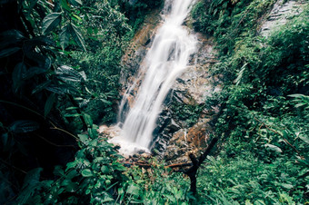 软水的流的自然公园美丽的瀑布雨森林