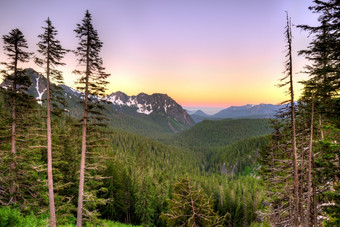 全景视图山雷尼尔山国家公园华盛顿状态美国