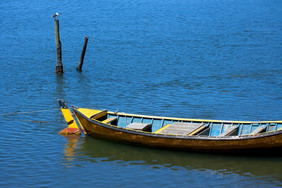 钓鱼船南部智利智利南美国