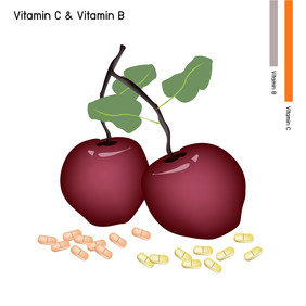 医疗保健插图苹果水果与维生素和维生素平板电脑至关重要的营养为生活