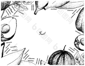 水果插图框架手画草图新鲜的波美拉克糖婴儿西瓜银布鲁戈香蕉孤立的白色背景