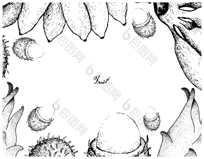 水果插图框架手画草图新鲜的红色的rambutans屁股但香蕉和火龙果孤立的白色背景