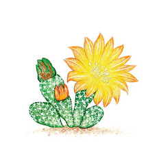 插图手画草图airampoa仙人掌与黄色的花为花园装饰