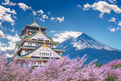富士山和城堡与樱桃开花春天