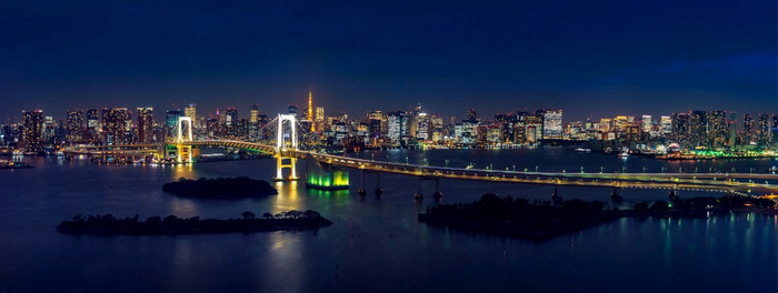 全景东京城市景观和彩虹桥晚上图片