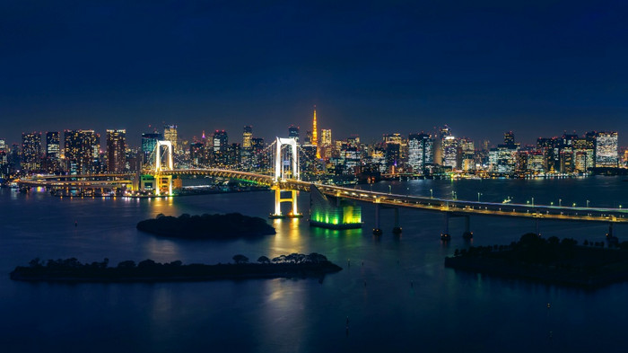 全景东京城市景观和彩虹桥晚上图片