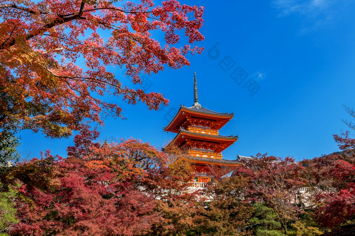 清水寺秋天《京都议定书》日本