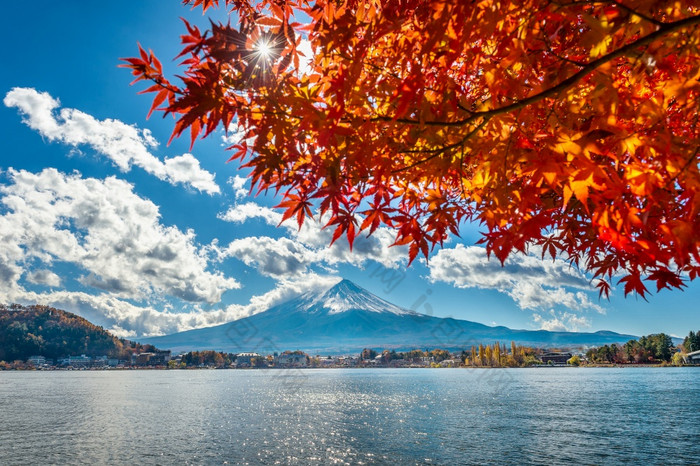秋天季节和富士山河口湖湖日本