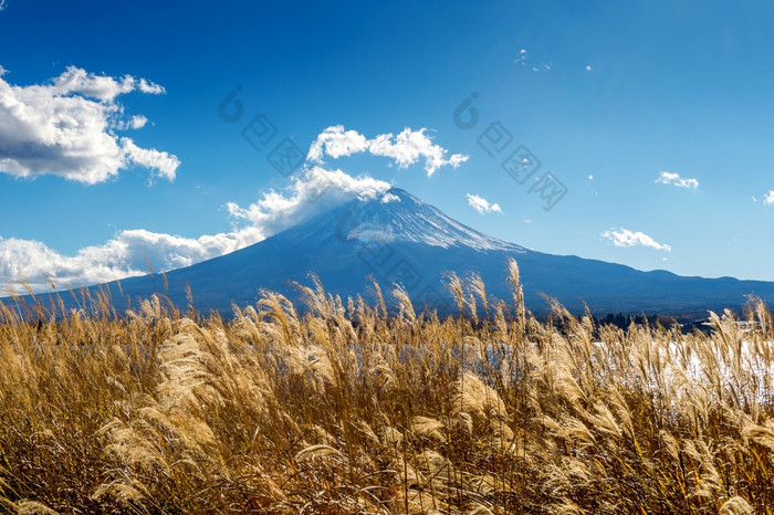 富士山和河口湖湖秋天日本