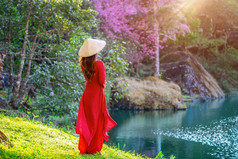 女人穿越南文化传统的樱桃开花公园