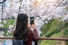 女人取照片樱桃开花沿着河东京日本