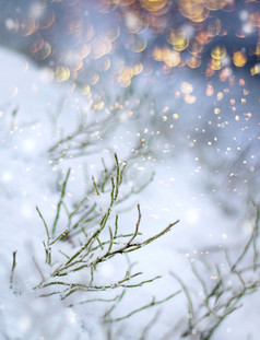 色彩斑斓的片第一个雪印象美丽的冬天概念圣诞节降雪第一个降雪印象