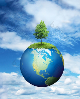 孤独的树日益增长的地球地球环境概念孤独的树日益增长的地球地球