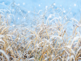 第一个雪海斯印象美丽的冬天概念降雪第一个降雪印象