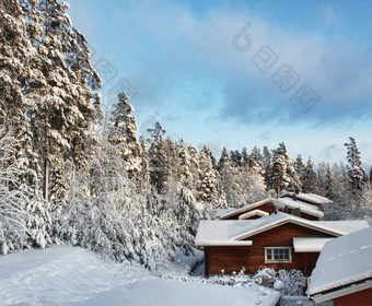 日志小屋房子雪冬天森林风景日志房子雪冬天风景