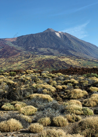 泰德火山山峰会和界定色彩斑斓的沙漠泰德峰会沙漠