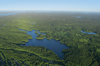 空中视图芬兰蓝色的湖泊和绿色森林区森林和湖泊