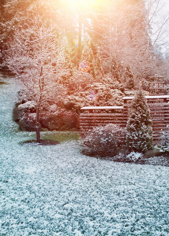 第一个冬天降雪秋天的花园早....阳光第一个雪花园