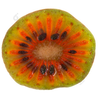 片红色的哈代猕猴桃猕猴桃arguta常年他来了哪一个生产小水果类似的猕猴桃