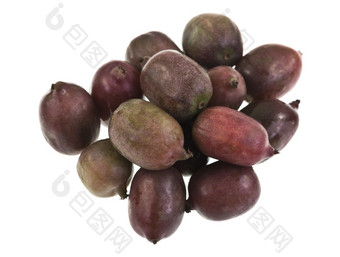 红色的哈代猕猴桃猕猴桃arguta常年他来了哪一个生产小水果类似的猕猴桃
