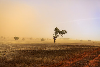 灰尘风暴吹在的农业字段之间的麻袋毯子麻袋毯子和temora新南威尔士新南威尔士灰尘风暴附近temora