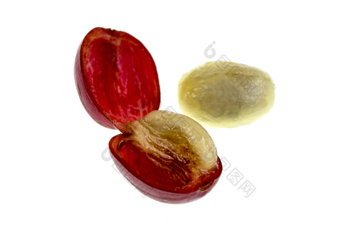 视图新鲜的咖啡樱桃水果解剖学与的外部分组成的皮肤和纸浆红色的的图像和的内心的部分种子与两个相邻半覆盖的粘液