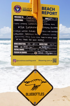 类型安全海滩报告与当地的信息和条件发布海洋海滩的救星责任在的巡逻海滩昆士兰澳大利亚