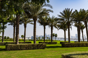 视图的日期棕榈树花园附近的罗浮宫阿布阿布扎比博物馆和的阿布阿布扎比城市天际线的背景