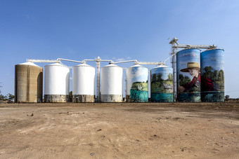 视图的画筒仓yelarbon昆士兰艺术作品题为当的<strong>雨来</strong>了充满希望的绿洲场景的沙漠带刺