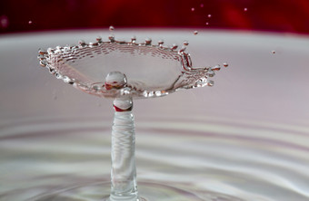 图像珍珠的壳牌结果从水晶水下降下降水晶水表面