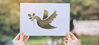 显示减少纸与的标志鸽子模板和平概念国际和平一天
