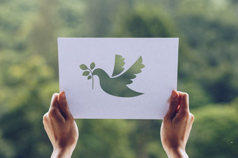 显示减少纸与的标志鸽子模板和平概念国际和平一天