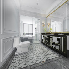 呈现奢侈品现代设计浴室和厕所。。。
