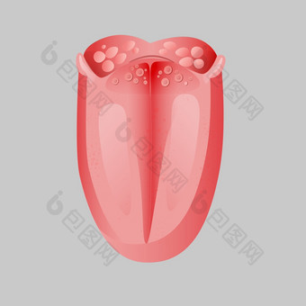 人<strong>类</strong>现实的舌头图标孤立的白色<strong>背景</strong>解剖卡通变形器官口服舌系统元素前<strong>面</strong>视图向量图形插图人<strong>类</strong>现实的舌头图标孤立的白色<strong>背景</strong>向量图形插图