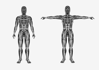机械人类身体机械Cyborg与金属身体部分人工自动机未来主义的平设计单色解剖学向量机器人蒸汽朋克画钢骨架机械人类身体机械Cyborg与金属身体部分人工自动机图片