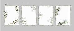 纸表与植物垂直模板纠缠在一起与茎绿色叶子自然植物封面热带向量春天天堂古老的纸植物发芽从纸表与植物垂直模板纠缠在一起与茎绿色叶子