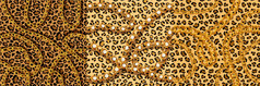 豹窗饰与黄金链和珍珠无缝的模式彪马黄色的点与黑色的捷豹计划概述了猎豹向量颜色豹窗饰与黄金链和珍珠无缝的模式彪马黄色的点与黑色的捷豹计划概述了