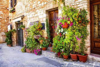 迷人的老中世纪的村庄意大利与典型的花狭窄的街道斯佩洛Umbria典型的花街道意大利村庄斯佩洛