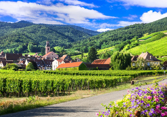 美丽的农村阿尔萨斯地区,著名的他来了路线法国哈瑟尔对于城堡村风景如画的农村阿尔萨斯酒地区法国