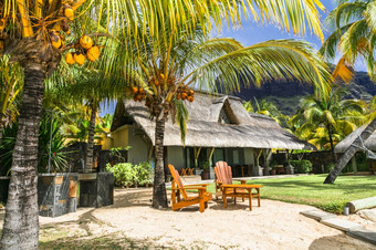 异国情调的热带假期毛里求斯岛海滩别墅下棕榈树