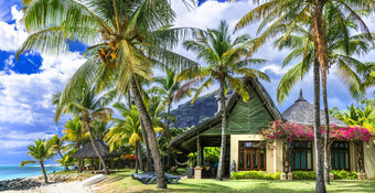 异国情调的热带假期毛里求斯岛海滩别墅下棕榈树